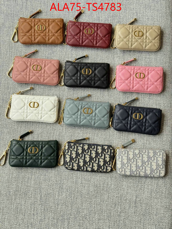 ID: TS4783 $: 75USD,