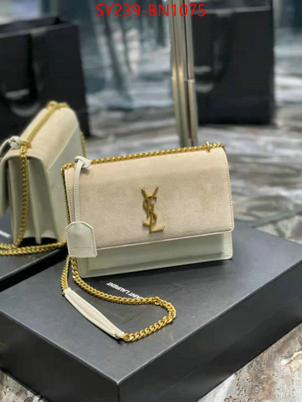 ID: BN1075 $: 239USD,