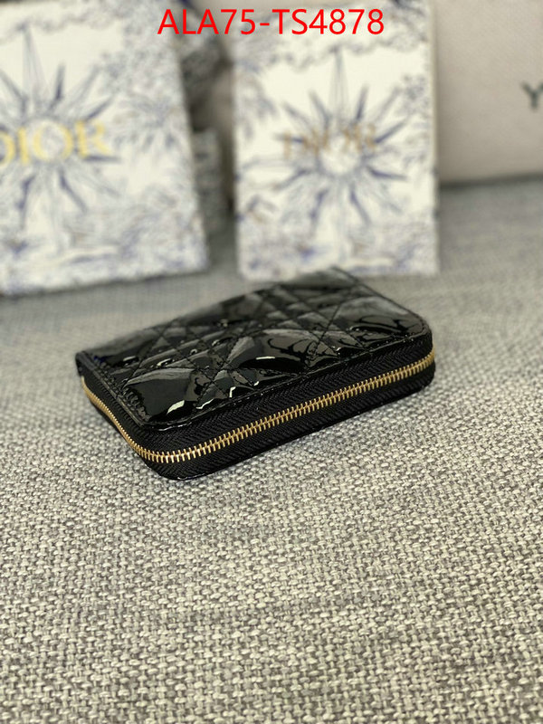 ID: TS4878 $: 75USD,