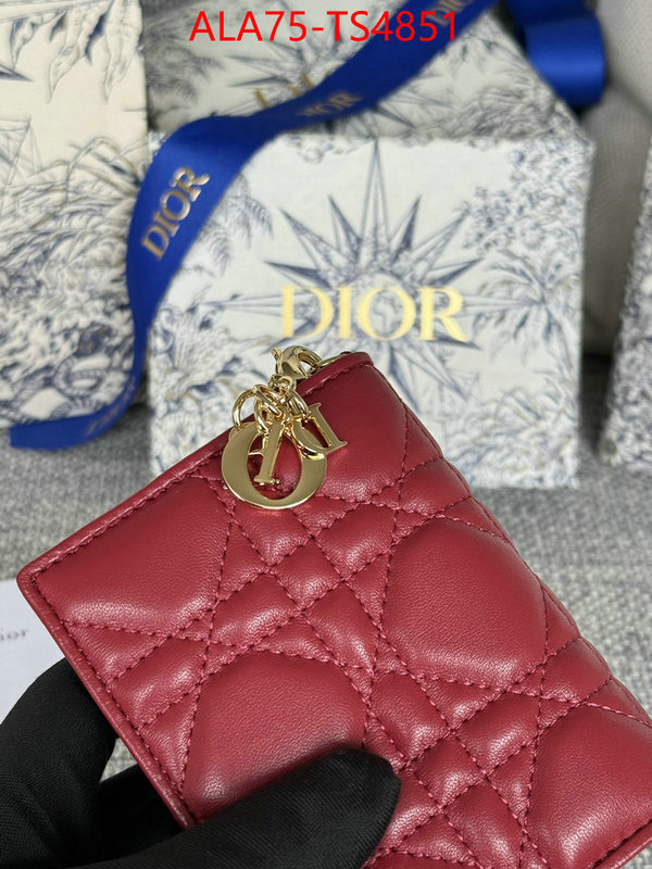 ID: TS4851 $: 75USD,