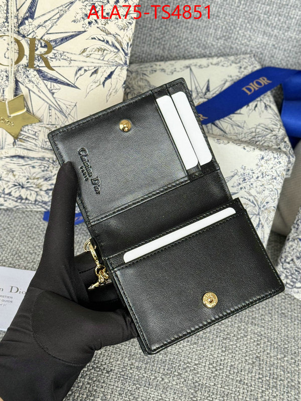 ID: TS4851 $: 75USD,