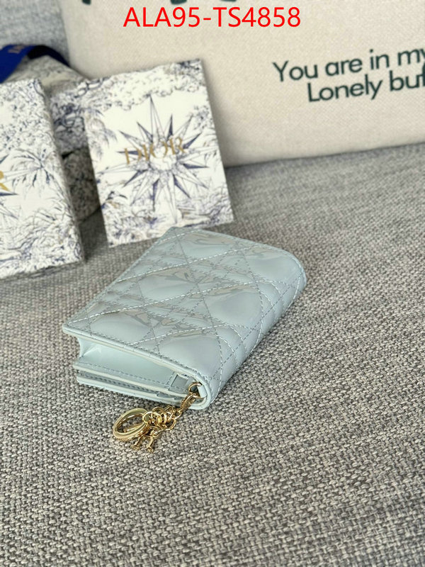 ID: TS4858 $: 95USD,