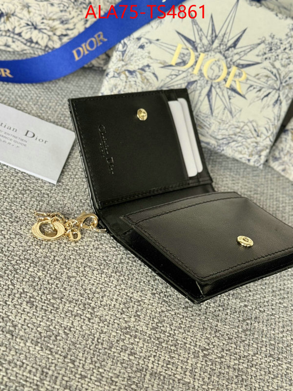 ID: TS4861 $: 75USD,