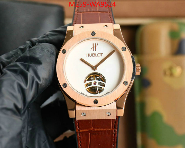 ID: WA9524