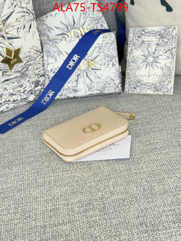 ID: TS4799 $: 75USD,