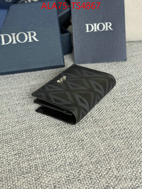 ID: TS4867 $: 75USD,