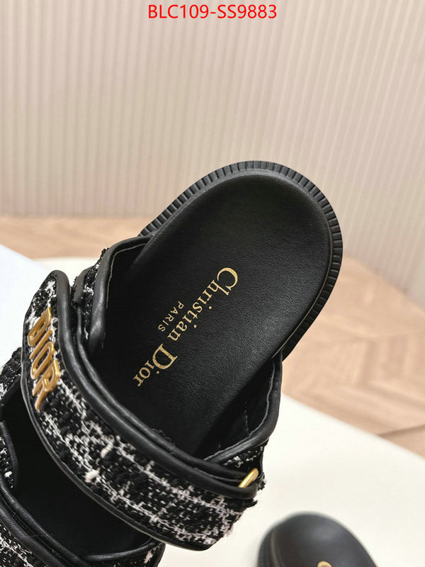 Women Shoes-Dior for sale online ID: SS9883 $: 109USD