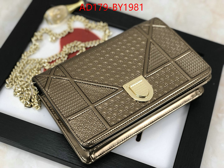 ID: BY1981 $: 179USD,