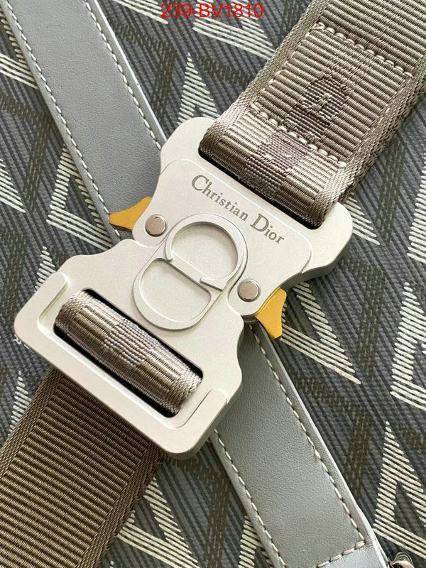 ID: BV1810 $: 239USD,