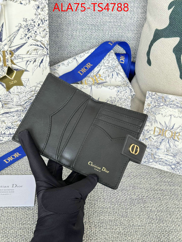 ID: TS4788 $: 75USD,