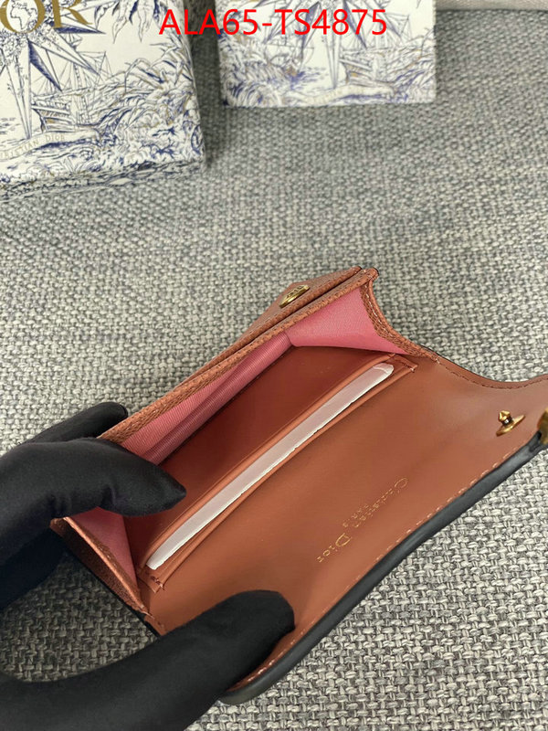 ID: TS4875 $: 65USD,