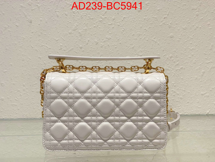 ID: BC5941 $: 239USD,