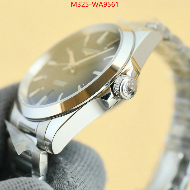ID: WA9561