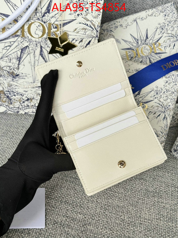 ID: TS4854 $: 95USD,