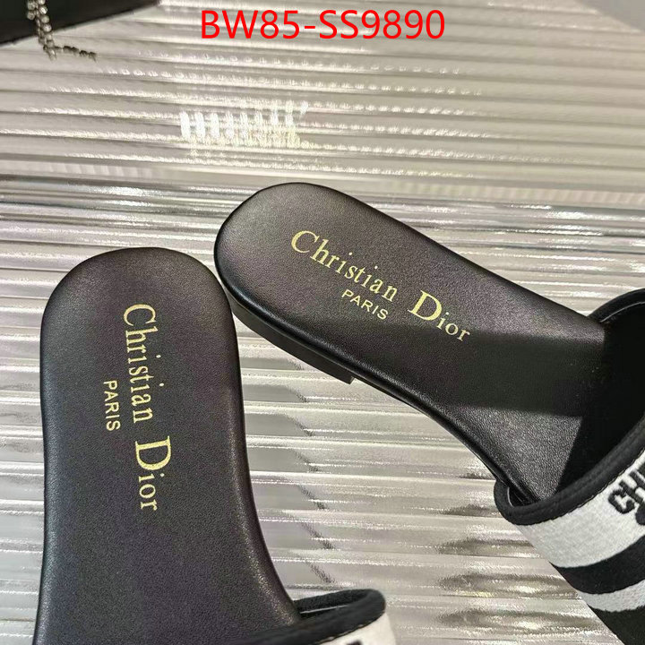 Women Shoes-Dior sell online ID: SS9890 $: 85USD