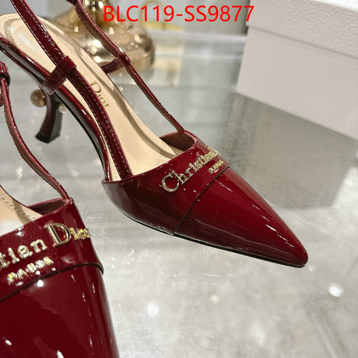 Women Shoes-Dior shop the best high authentic quality replica ID: SS9877 $: 119USD-shoes yupoo Women Shoes-Dior shop the best high authentic quality replica ID: SS9877 $: 119USD