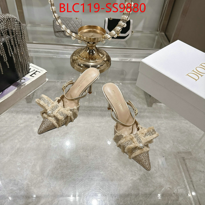 Women Shoes-Dior store ID: SS9880 $: 119USD