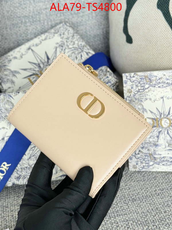 ID: TS4800 $: 79USD,