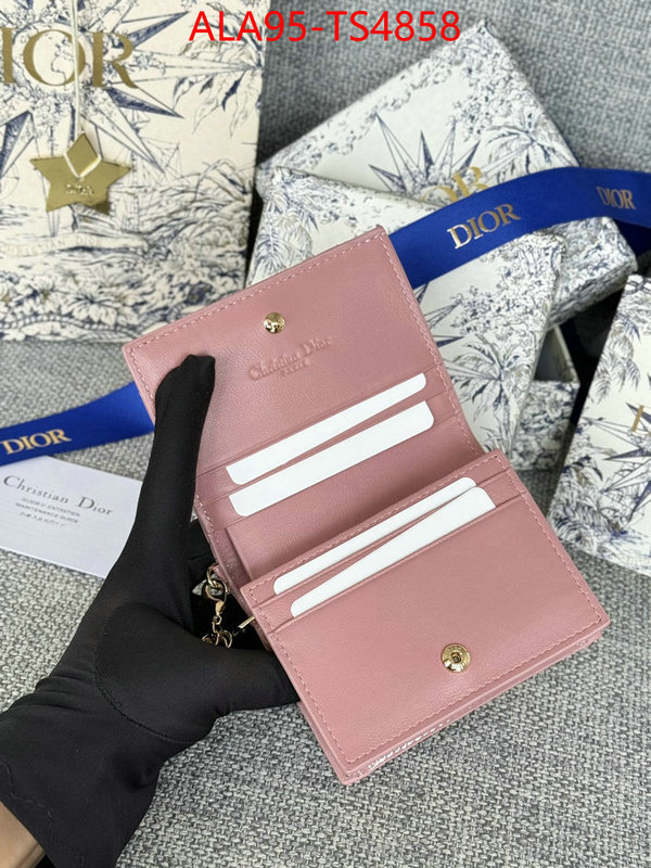 ID: TS4858 $: 95USD,