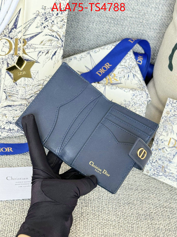 ID: TS4788 $: 75USD,