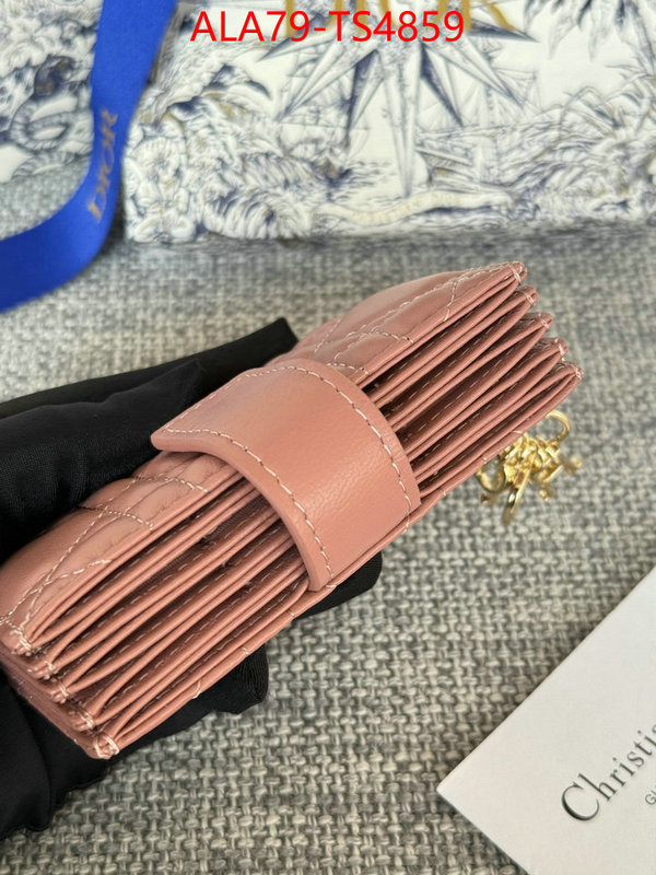 ID: TS4859 $: 79USD,