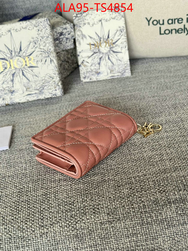 ID: TS4854 $: 95USD,