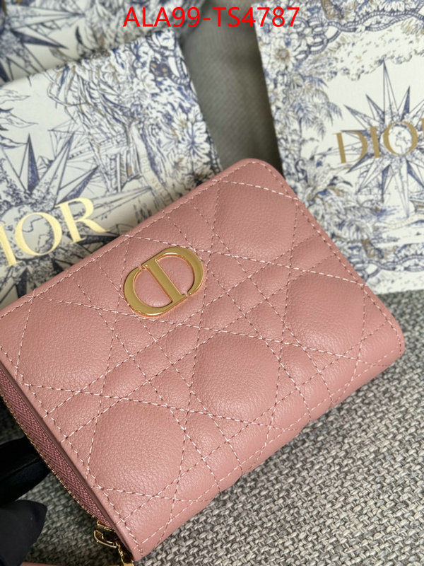 ID: TS4787 $: 99USD,