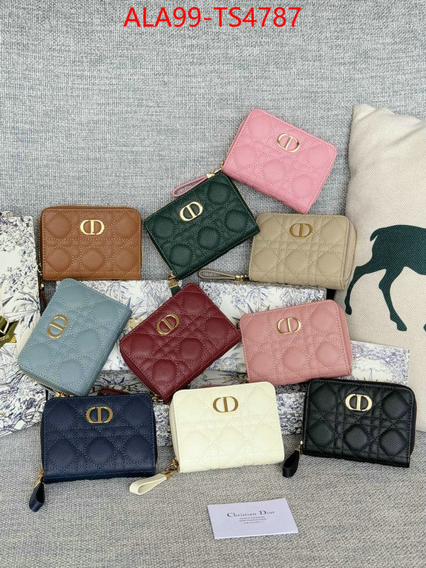 ID: TS4787 $: 99USD,
