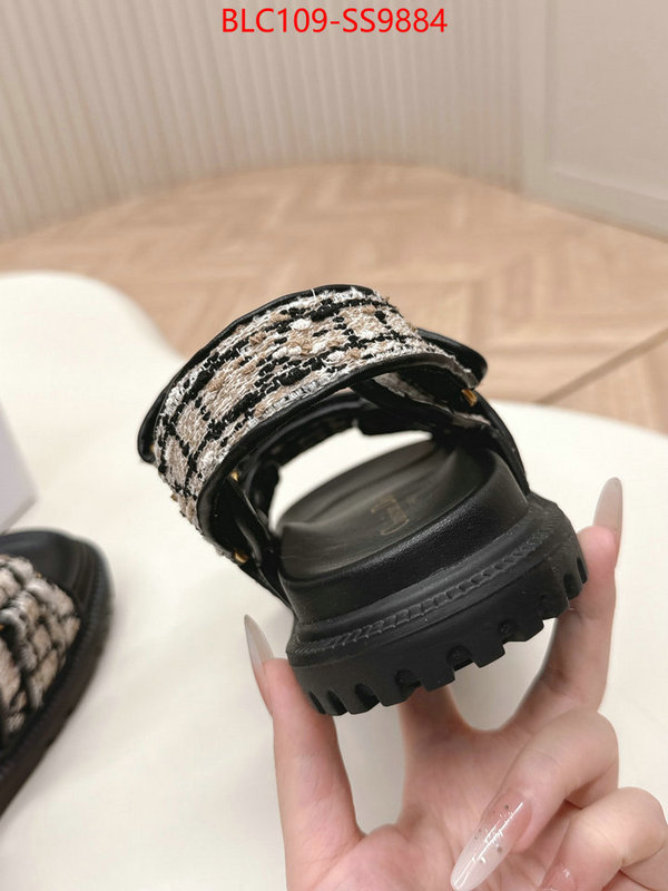 Women Shoes-Dior wholesale 2024 replica ID: SS9884 $: 109USD