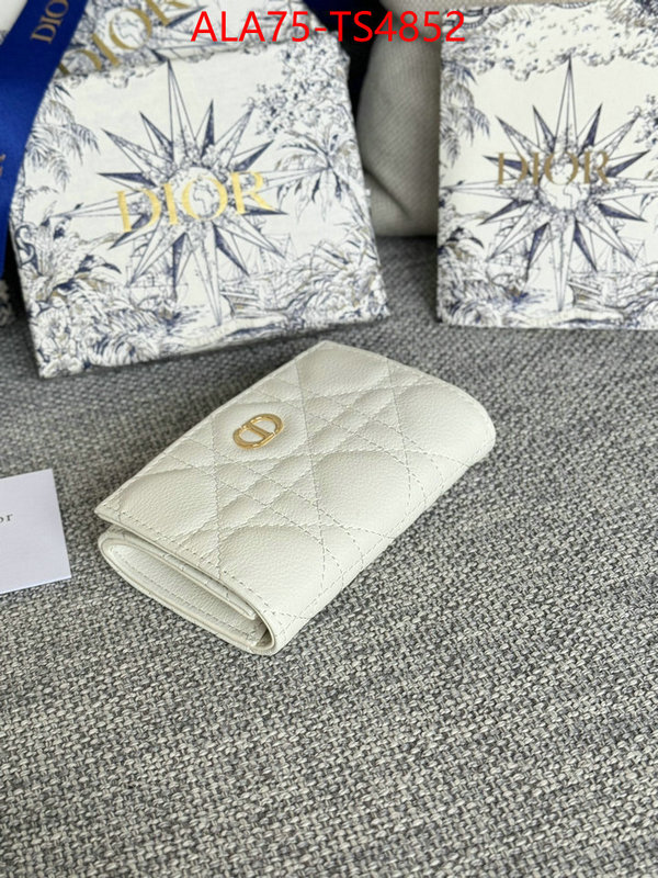 ID: TS4852 $: 75USD,