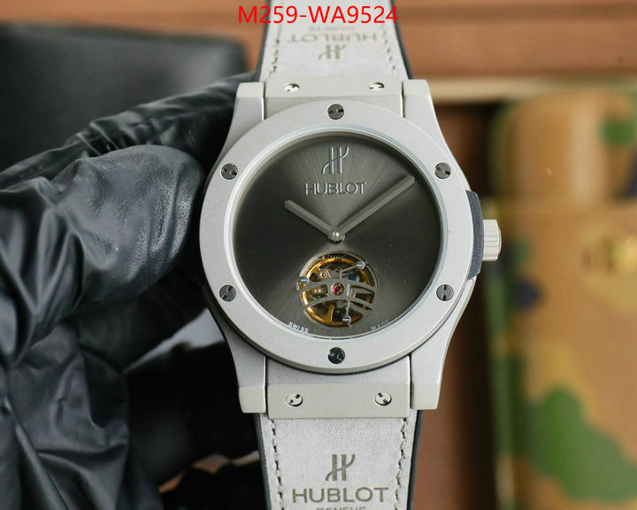 ID: WA9524
