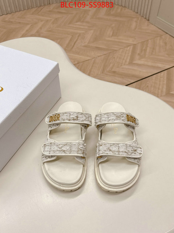Women Shoes-Dior for sale online ID: SS9883 $: 109USD