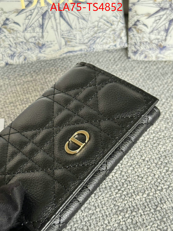 ID: TS4852 $: 75USD,