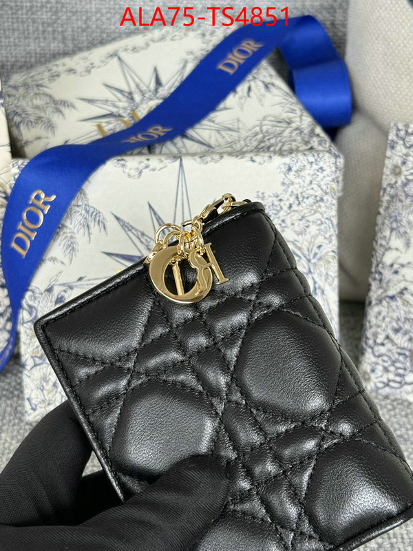 ID: TS4851 $: 75USD,