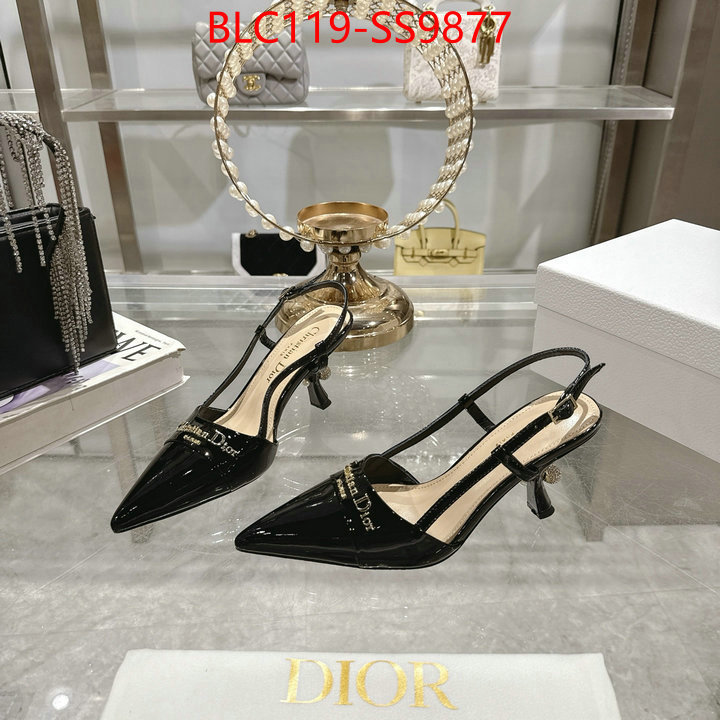 Women Shoes-Dior shop the best high authentic quality replica ID: SS9877 $: 119USD-shoes yupoo Women Shoes-Dior shop the best high authentic quality replica ID: SS9877 $: 119USD