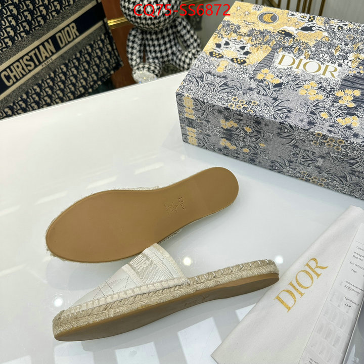 what is a counter quality ID: SS6872
