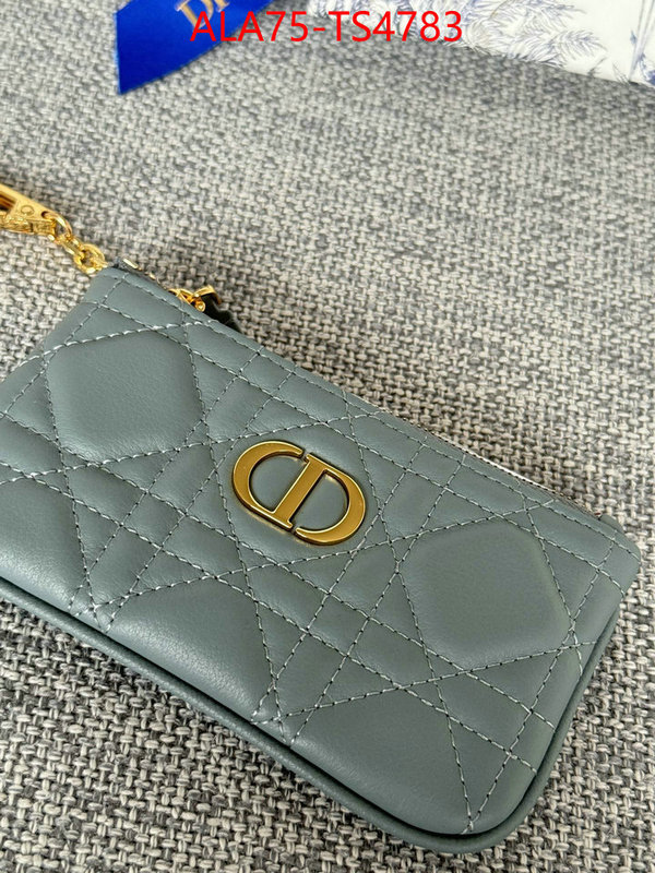 ID: TS4783 $: 75USD,