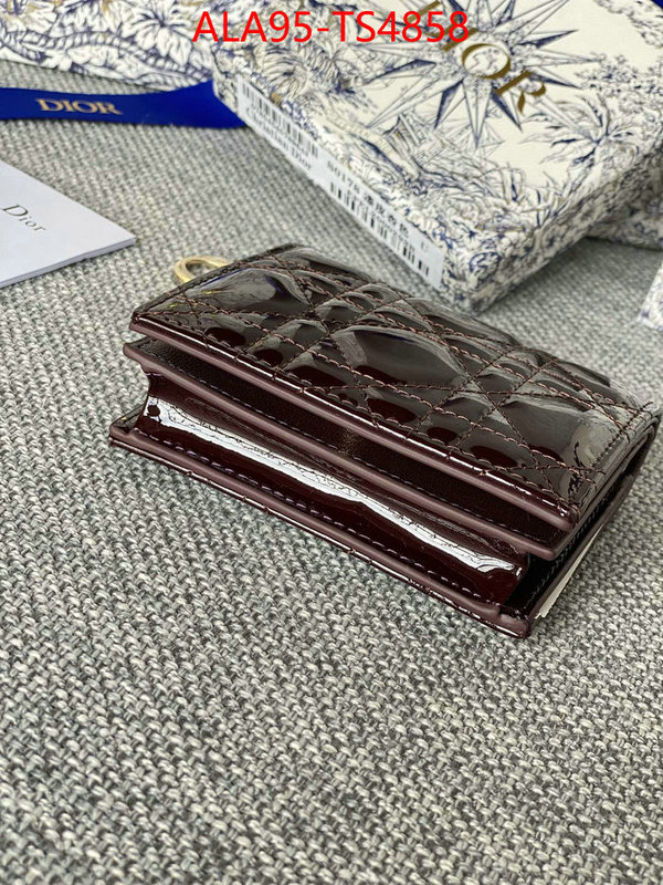 ID: TS4858 $: 95USD,