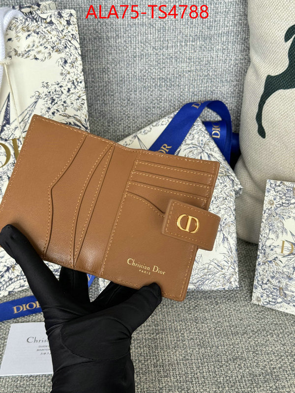 ID: TS4788 $: 75USD,