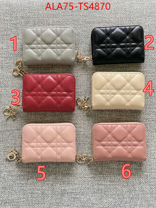ID: TS4870 $: 75USD,