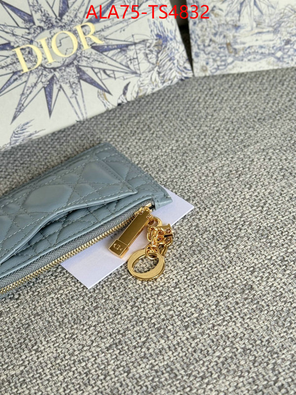 ID: TS4832 $: 75USD,