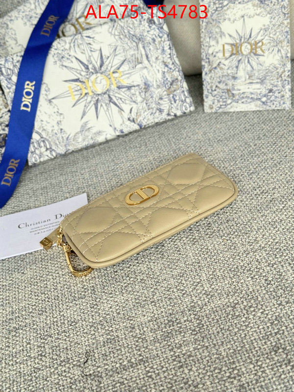 ID: TS4783 $: 75USD,