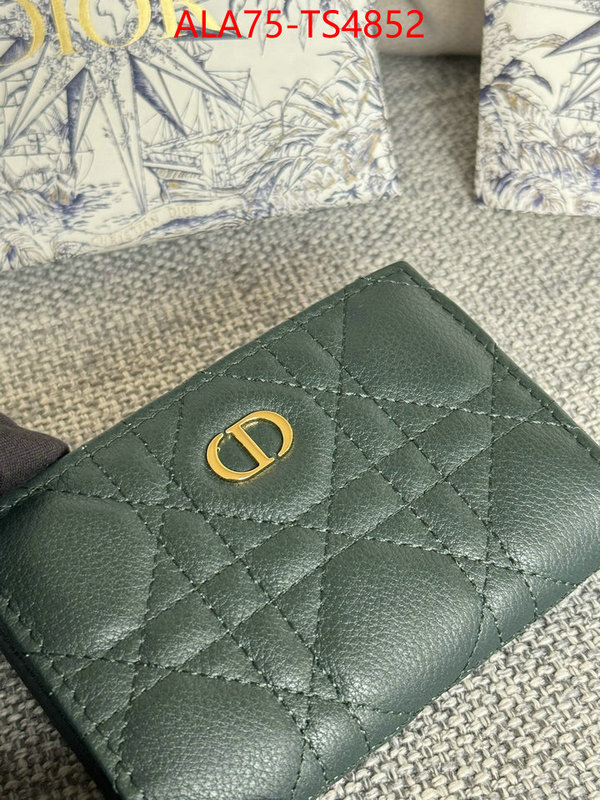 ID: TS4852 $: 75USD,