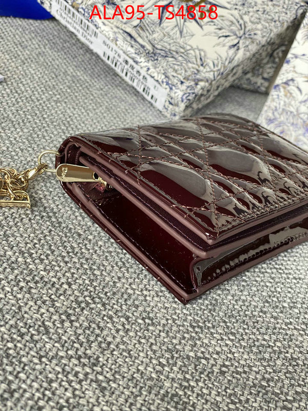 ID: TS4858 $: 95USD,