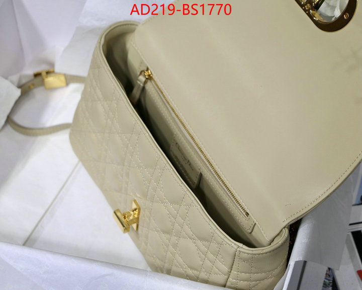 ID: BS1770 $: 219USD,