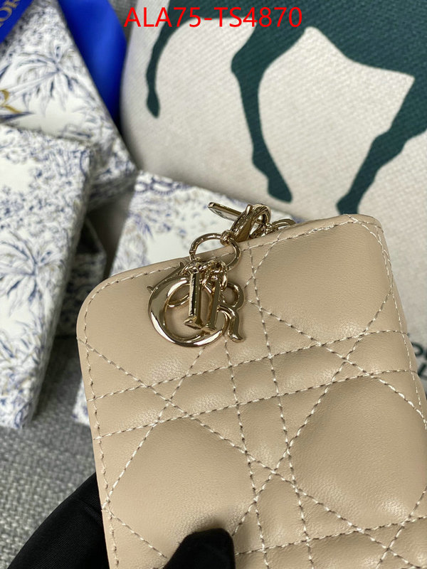 ID: TS4870 $: 75USD,