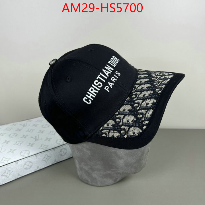 top perfect fake ID: HS5700