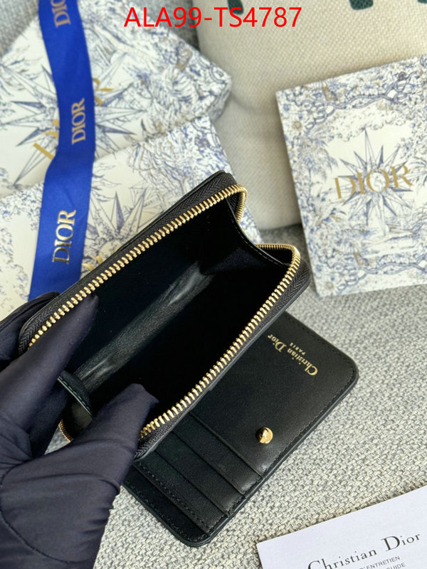 ID: TS4787 $: 99USD,