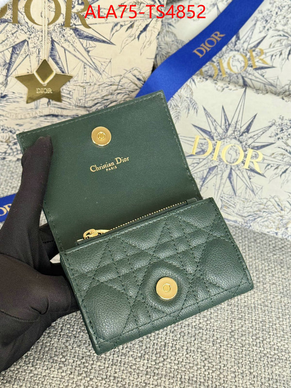 ID: TS4852 $: 75USD,