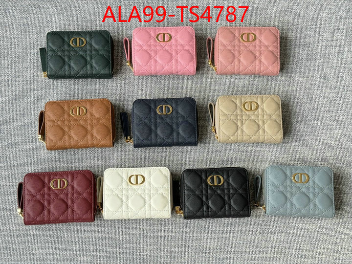ID: TS4787 $: 99USD,